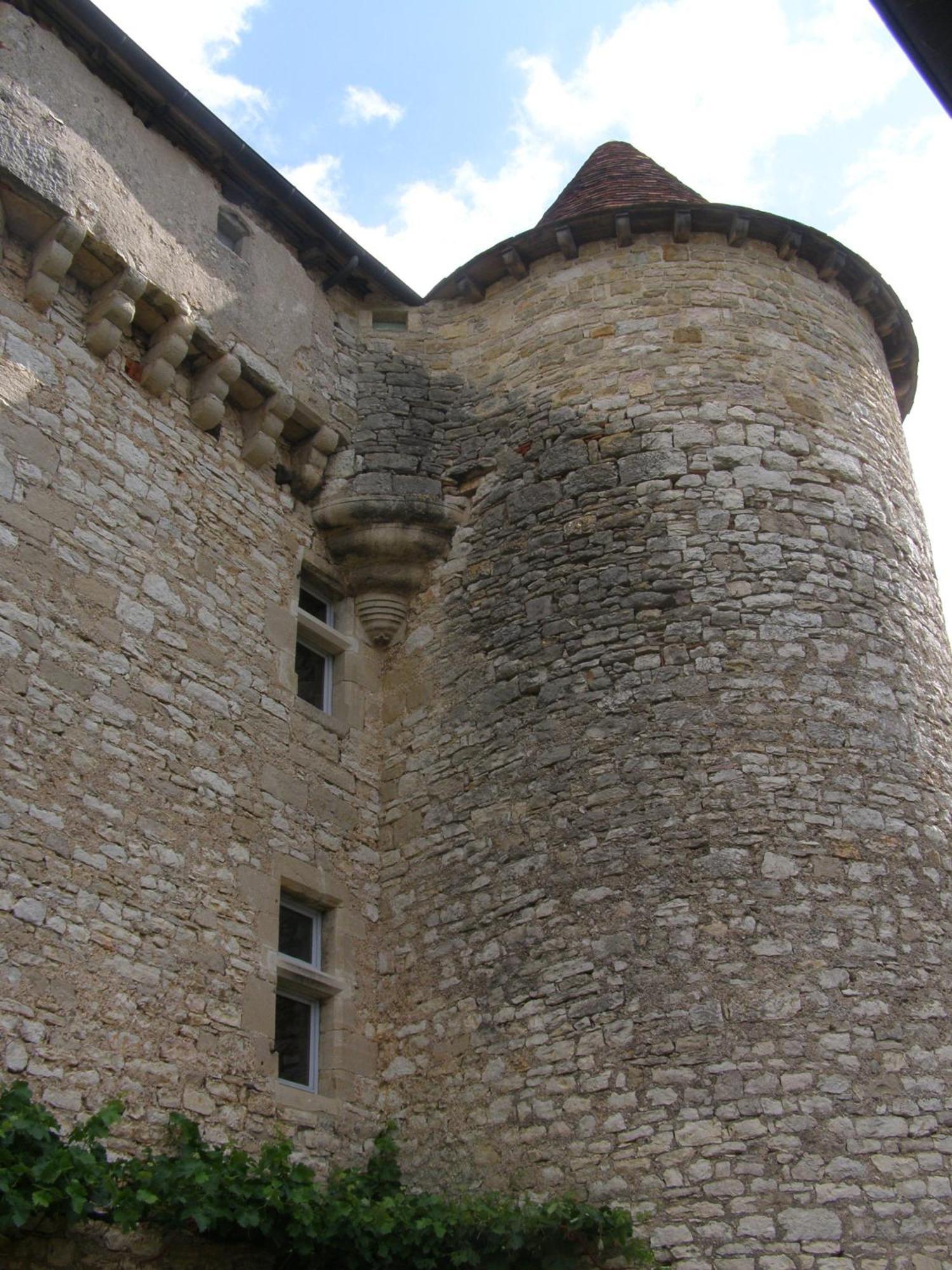 Ambeyrac Chateau De Camboulan מראה חיצוני תמונה