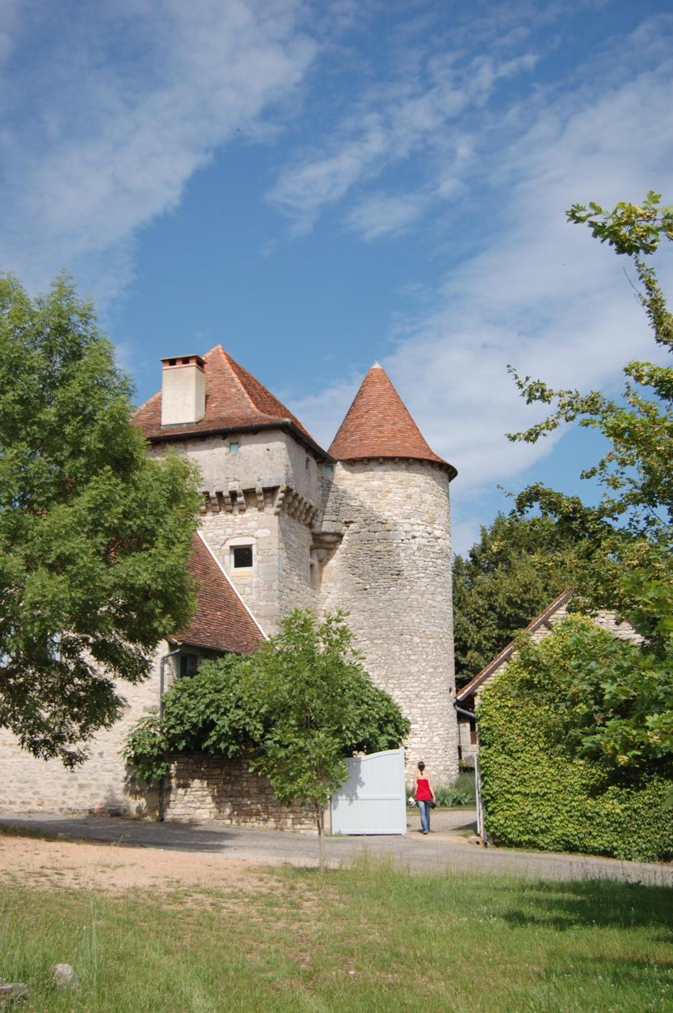 Ambeyrac Chateau De Camboulan מראה חיצוני תמונה