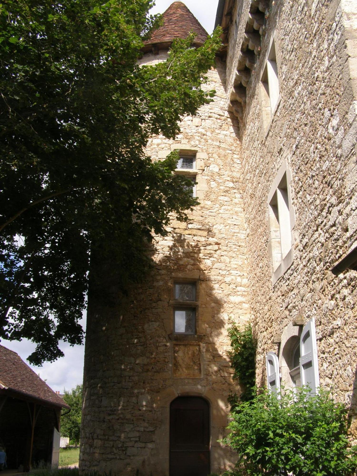 Ambeyrac Chateau De Camboulan מראה חיצוני תמונה
